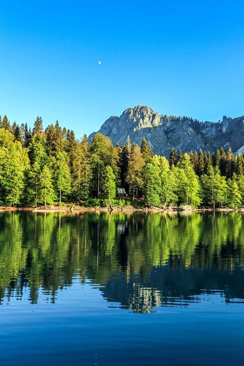 <span style="font-weight: bold;">ЭКСКУРСИЯ НА РИЦУ</span> 