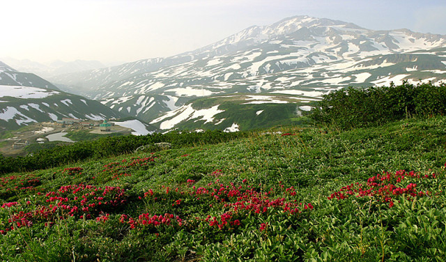 <span style="font-weight: bold;">АЛЬПИЙСКИКИЕ ЛУГА И ГЕГСКИЙ ВОДОПАД </span> 