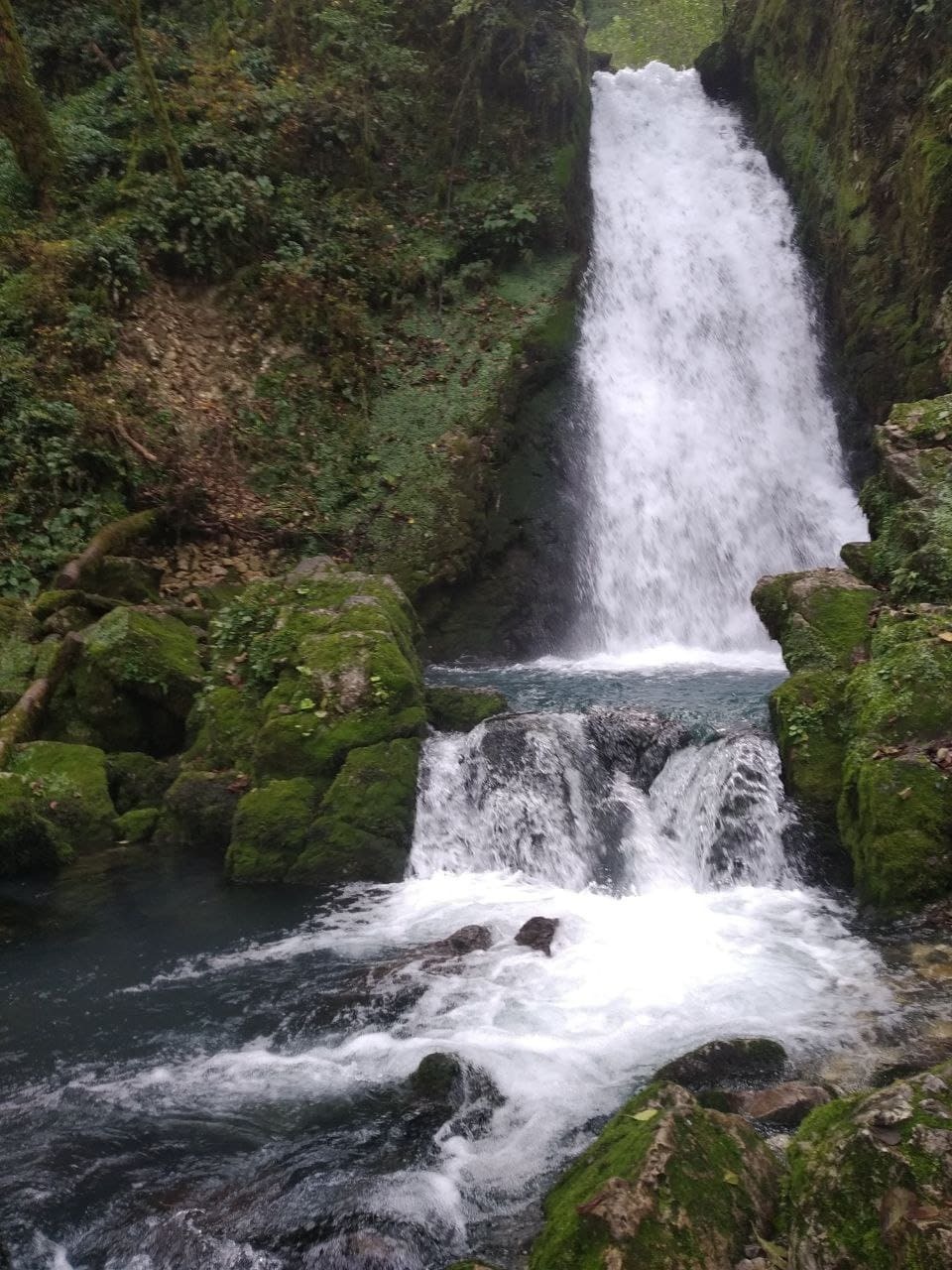 <span style="font-weight: bold;">БРОНЗОВОЕ УЩЕЛЬЕ</span> 